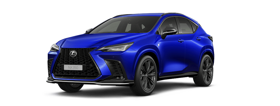 nx2