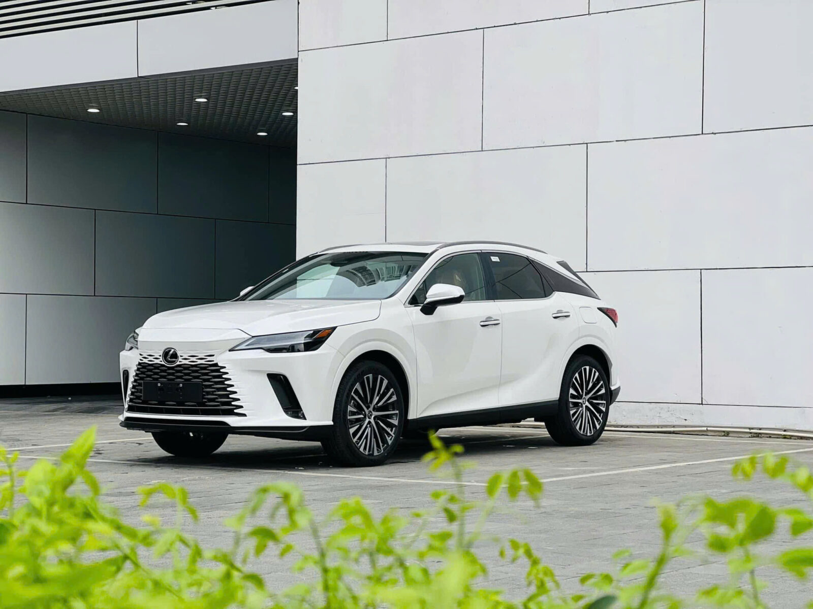 Giá lăn bánh các phiên bản Lexus RX 350